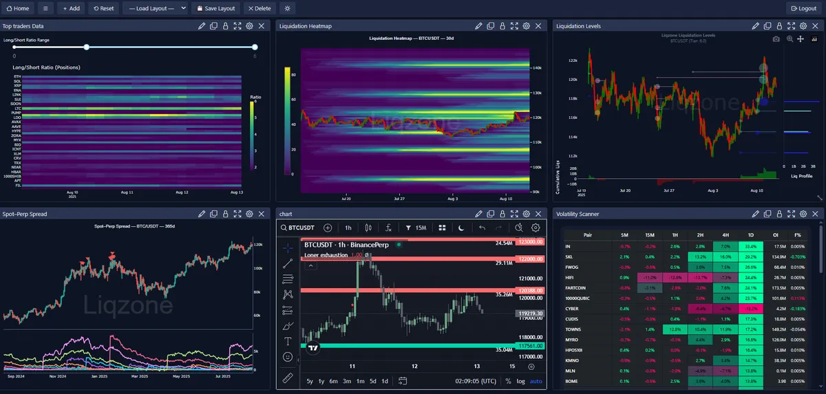 Liqzone top traders data showing long and short positions